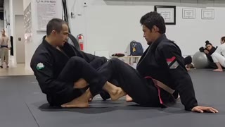 Belly Step Counter From the Bolo