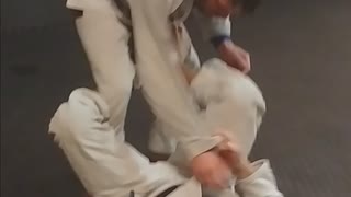 Vice Guard to Bolo